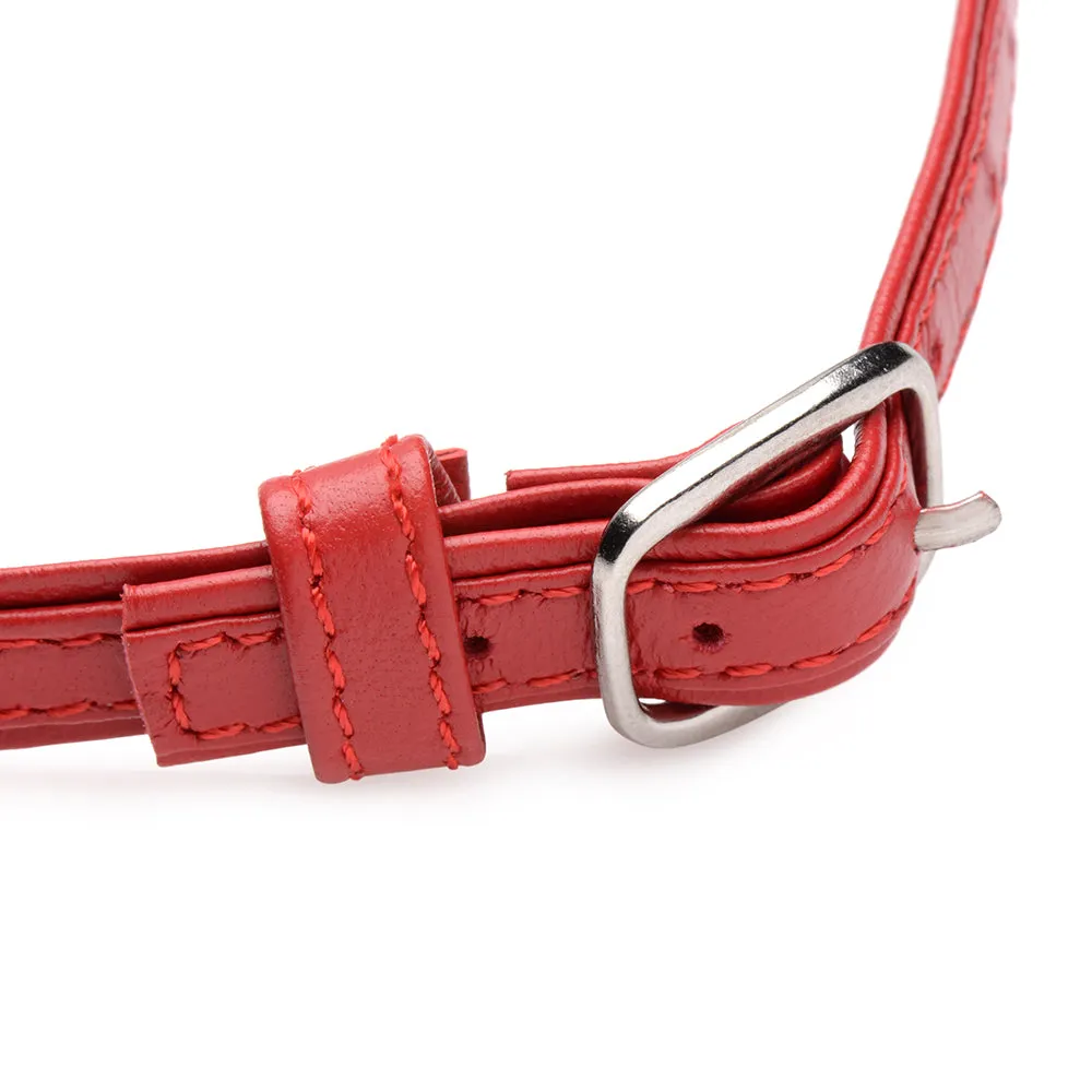 Master Series Fiery Pet Leather Choker with Silver Ring