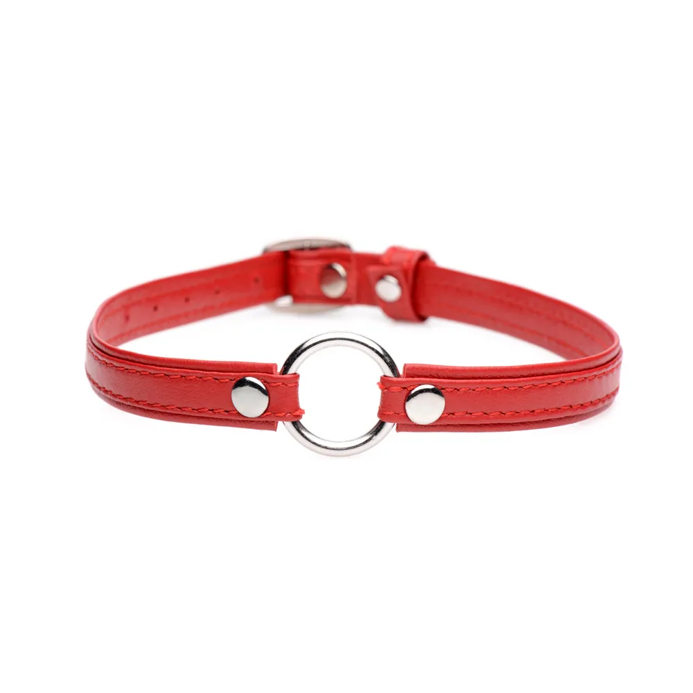 Master Series Fiery Pet Leather Choker with Silver Ring