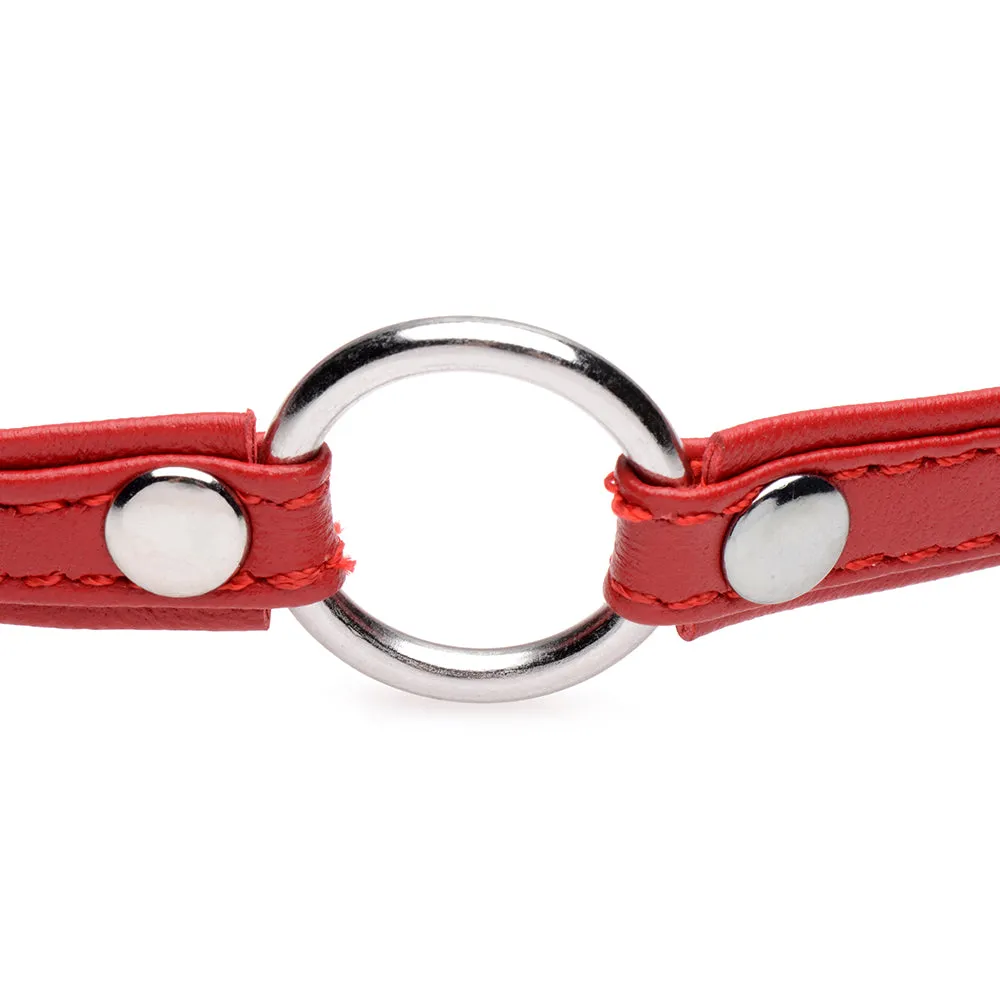 Master Series Fiery Pet Leather Choker with Silver Ring
